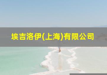 埃吉洛伊(上海)有限公司