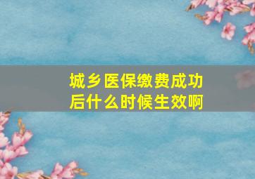 城乡医保缴费成功后什么时候生效啊