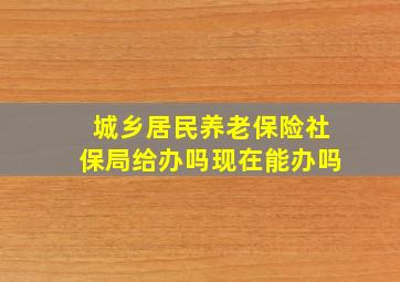 城乡居民养老保险社保局给办吗现在能办吗