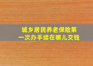 城乡居民养老保险第一次办手续在哪儿交钱