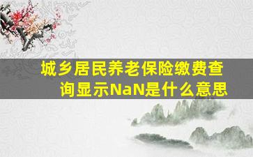 城乡居民养老保险缴费查询显示NaN是什么意思