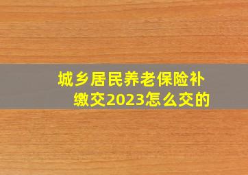 城乡居民养老保险补缴交2023怎么交的