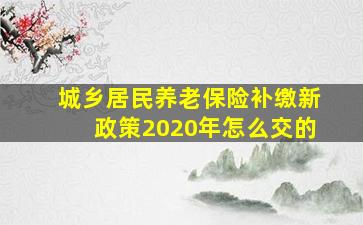 城乡居民养老保险补缴新政策2020年怎么交的