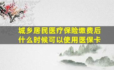 城乡居民医疗保险缴费后什么时候可以使用医保卡