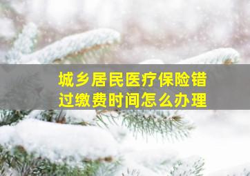 城乡居民医疗保险错过缴费时间怎么办理