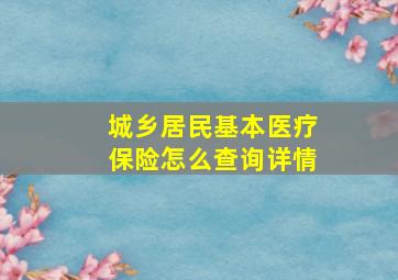 城乡居民基本医疗保险怎么查询详情