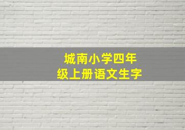 城南小学四年级上册语文生字