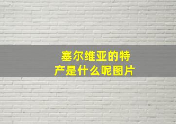 塞尔维亚的特产是什么呢图片