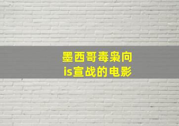 墨西哥毒枭向is宣战的电影