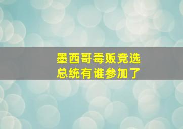 墨西哥毒贩竞选总统有谁参加了