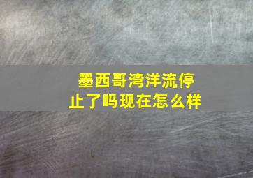 墨西哥湾洋流停止了吗现在怎么样