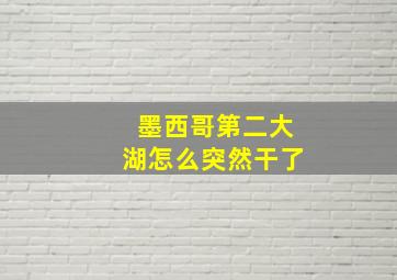 墨西哥第二大湖怎么突然干了