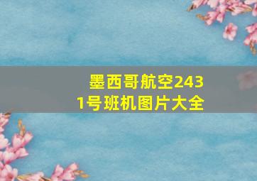 墨西哥航空2431号班机图片大全