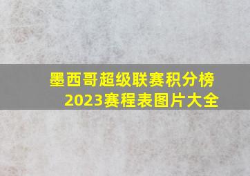 墨西哥超级联赛积分榜2023赛程表图片大全