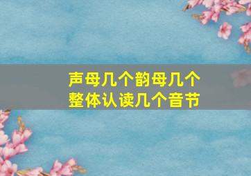 声母几个韵母几个整体认读几个音节