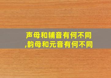 声母和辅音有何不同,韵母和元音有何不同