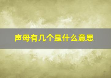 声母有几个是什么意思