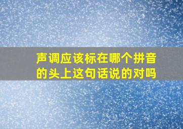 声调应该标在哪个拼音的头上这句话说的对吗