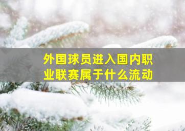 外国球员进入国内职业联赛属于什么流动