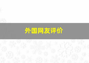 外国网友评价