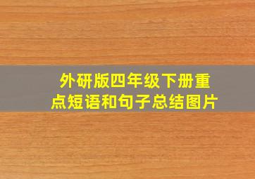 外研版四年级下册重点短语和句子总结图片