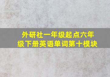 外研社一年级起点六年级下册英语单词第十模块