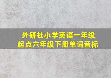 外研社小学英语一年级起点六年级下册单词音标