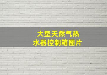 大型天然气热水器控制箱图片