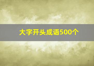 大字开头成语500个