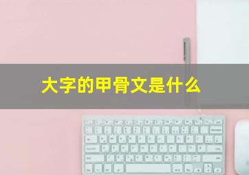 大字的甲骨文是什么