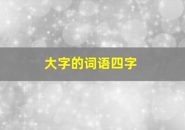 大字的词语四字