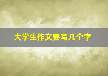 大学生作文要写几个字