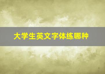 大学生英文字体练哪种