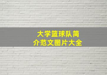 大学篮球队简介范文图片大全