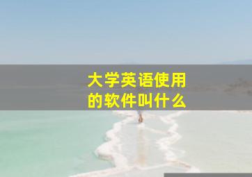 大学英语使用的软件叫什么