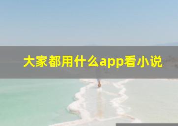 大家都用什么app看小说