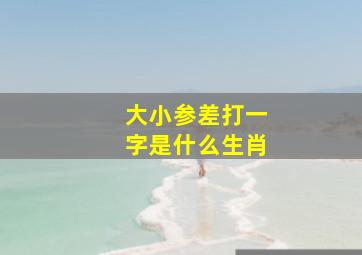 大小参差打一字是什么生肖