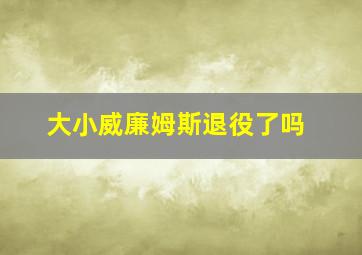 大小威廉姆斯退役了吗