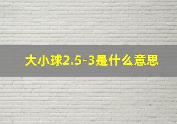 大小球2.5-3是什么意思