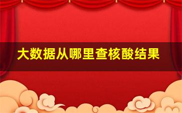 大数据从哪里查核酸结果