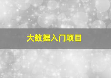 大数据入门项目