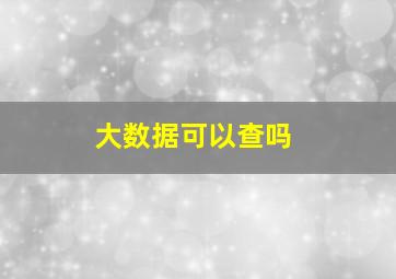 大数据可以查吗