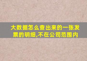 大数据怎么查出来的一张发票的明细,不在公司范围内