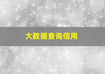 大数据查询信用