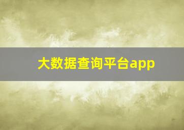 大数据查询平台app