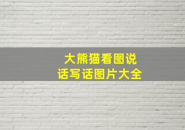 大熊猫看图说话写话图片大全