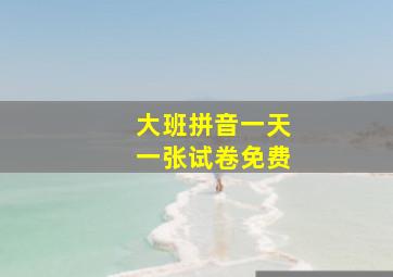 大班拼音一天一张试卷免费