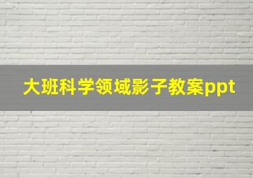 大班科学领域影子教案ppt