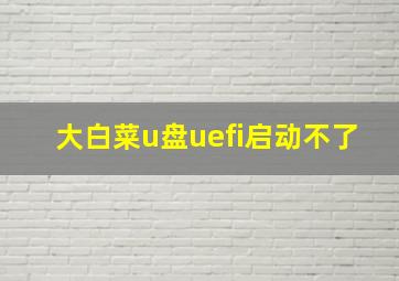 大白菜u盘uefi启动不了