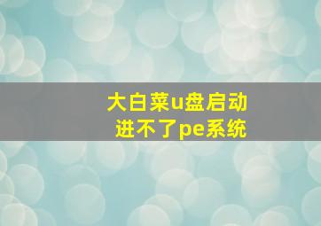 大白菜u盘启动进不了pe系统